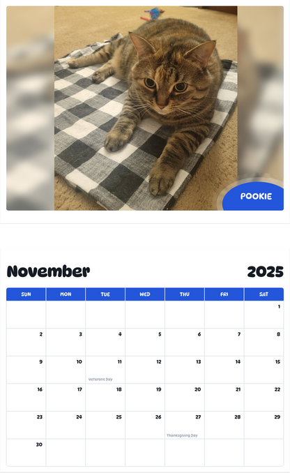 July 2025 - June 2026 Pookie - Pawidols Pet Calendar