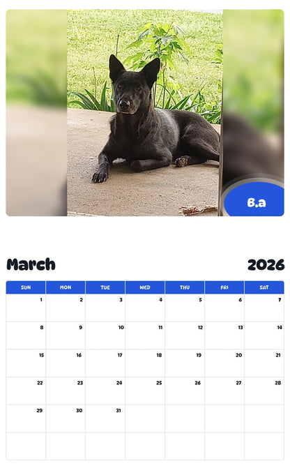 November 2025 - October 2026 B.a - Pawidols Pet Calendar