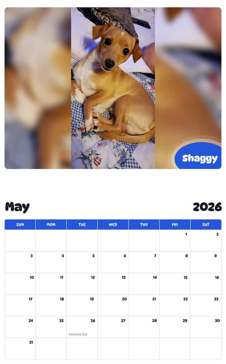 2026 - 2027 Shaggy - Pawidols Pet Calendar