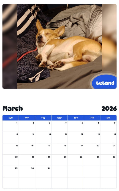 November 2025 - October 2026 LeLand - Pawidols Pet Calendar