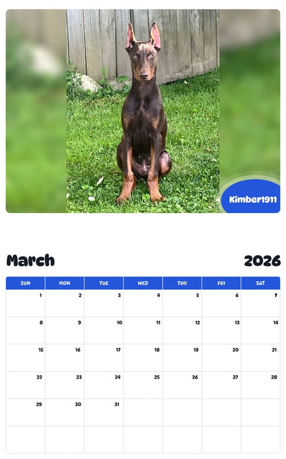 November 2025 - October 2026 Kimber1911 - Pawidols Pet Calendar