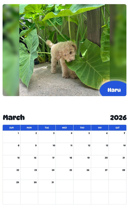 November 2025 - October 2026 Haru - Pawidols Pet Calendar
