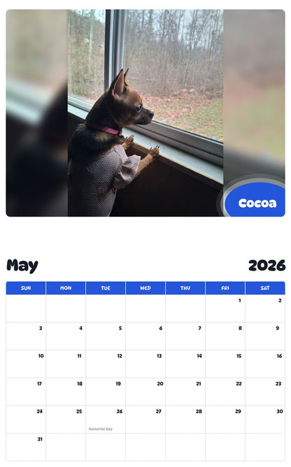 2026 - 2027 Cocoa - Pawidols Pet Calendar