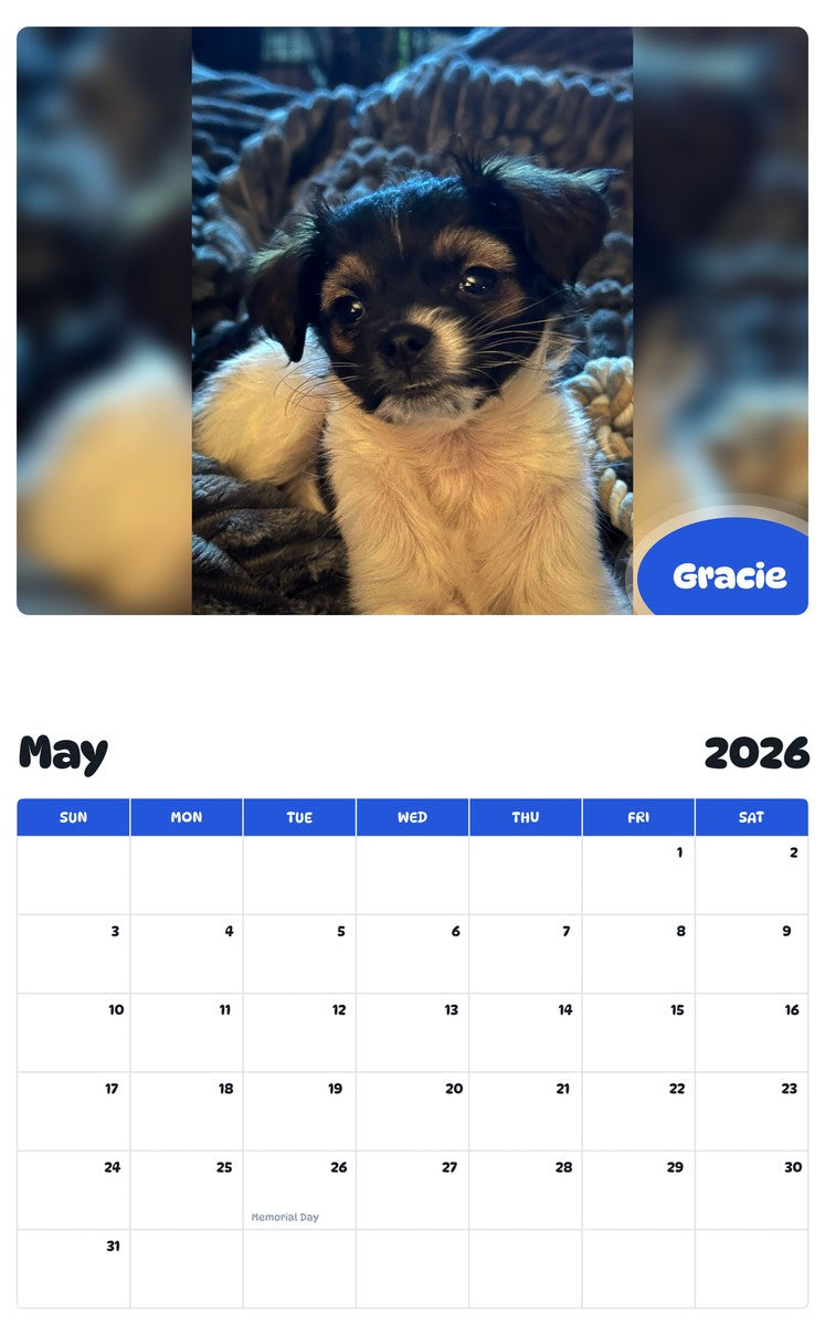 2026 - 2027 Gracie - Pawidols Pet Calendar