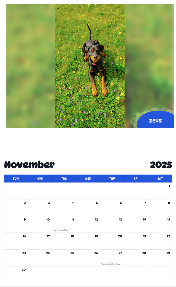 July 2025 - June 2026 Zeus - Pawidols Pet Calendar