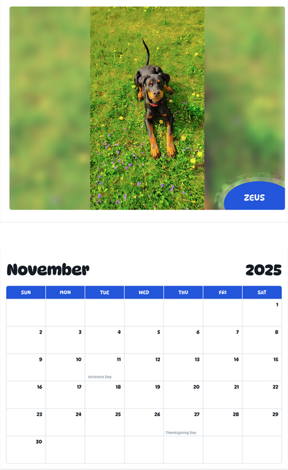 July 2025 - June 2026 Zeus - Pawidols Pet Calendar