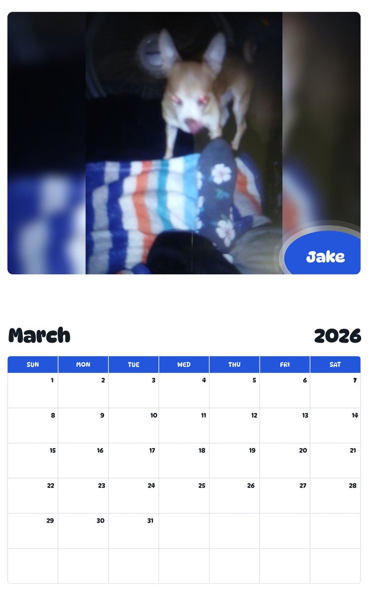November 2025 - October 2026 Jake - Pawidols Pet Calendar
