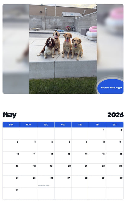 2026 - 2027 Tink, Lulu, Minnie, Nugget - Pawidols Pet Calendar