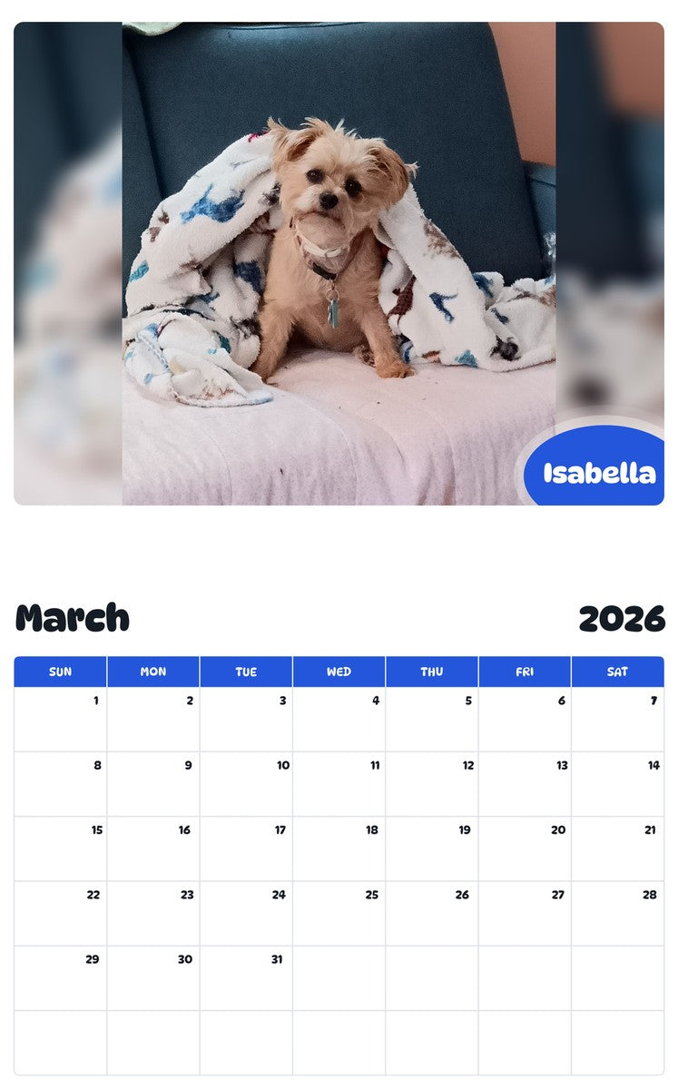 November 2025 - October 2026 Isabella - Pawidols Pet Calendar