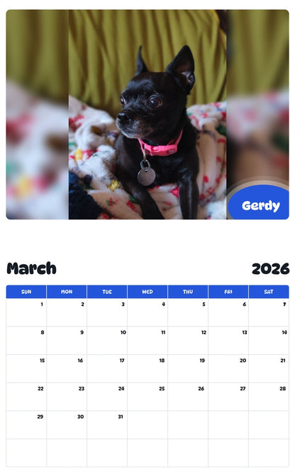 November 2025 - October 2026 Gerdy - Pawidols Pet Calendar