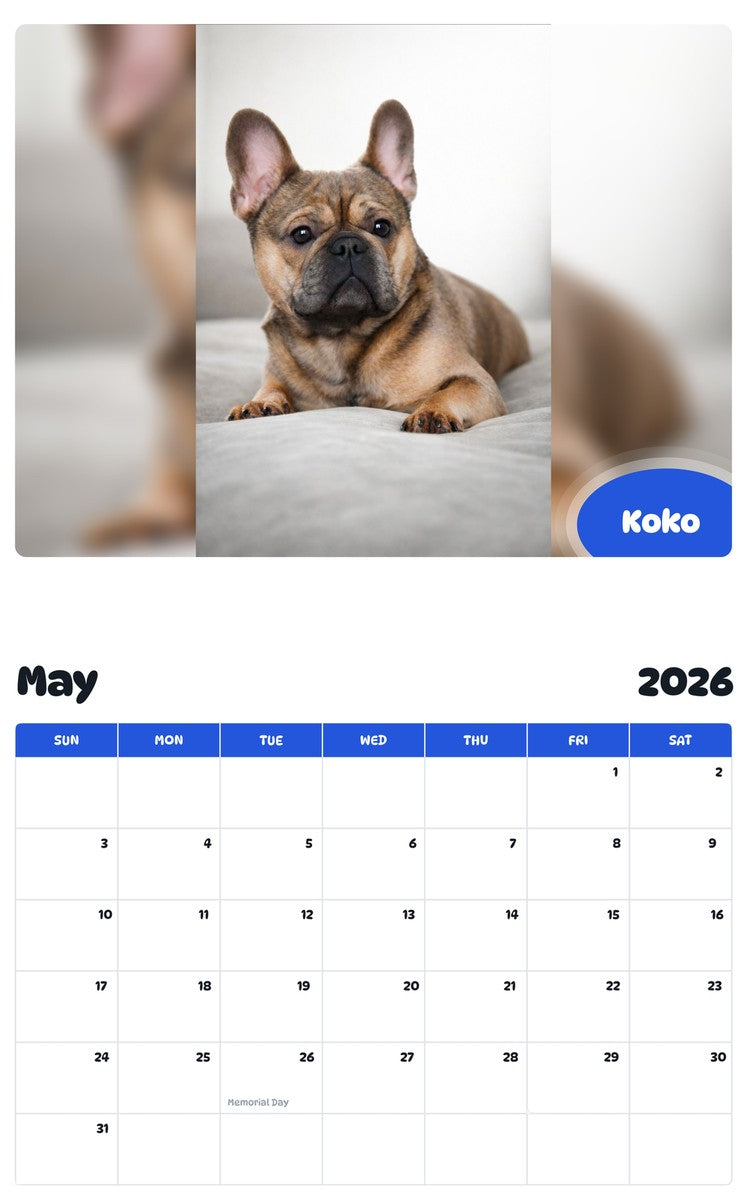 2026 - 2027 Koko - Pawidols Pet Calendar