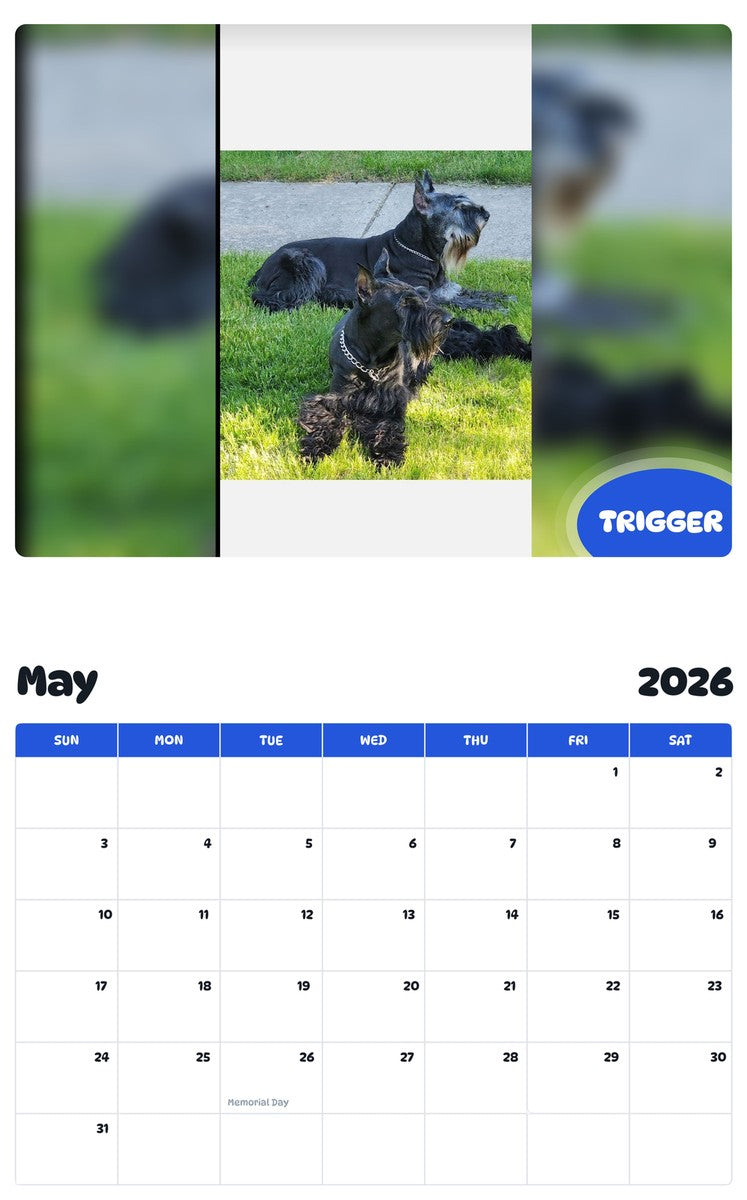 2026 - 2027 TRIGGER - Pawidols Pet Calendar