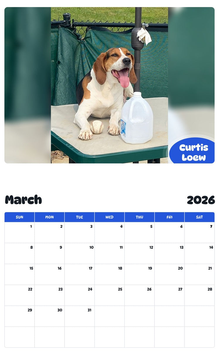 November 2025 - October 2026 Curtis Loew - Pawidols Pet Calendar