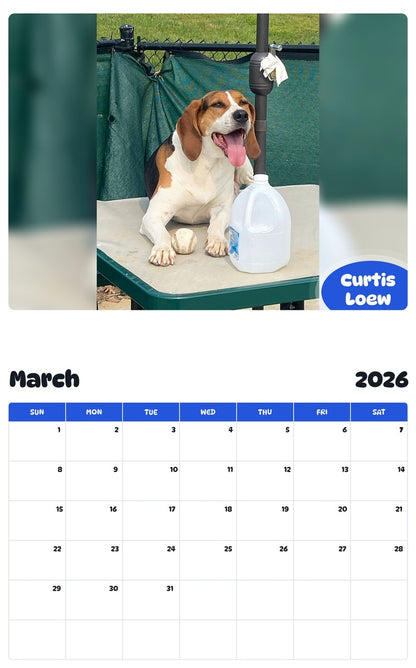 November 2025 - October 2026 Curtis Loew - Pawidols Pet Calendar