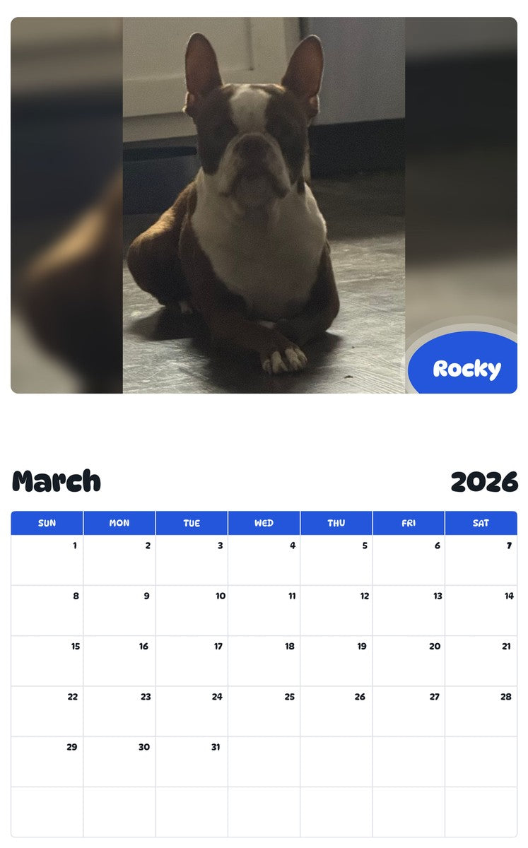 November 2025 - October 2026 Rocky - Pawidols Pet Calendar