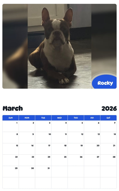 November 2025 - October 2026 Rocky - Pawidols Pet Calendar