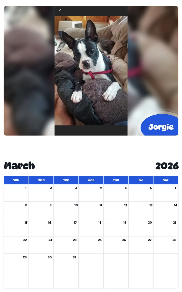 November 2025 - October 2026 Jorgie - Pawidols Pet Calendar