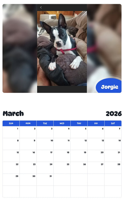 November 2025 - October 2026 Jorgie - Pawidols Pet Calendar