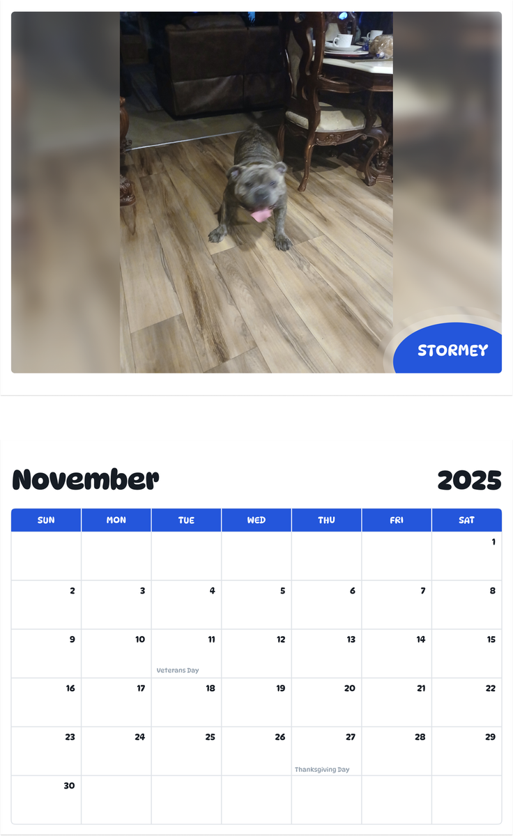 July 2025 - June 2026 Stormey - Pawidols Pet Calendar