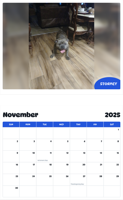 July 2025 - June 2026 Stormey - Pawidols Pet Calendar