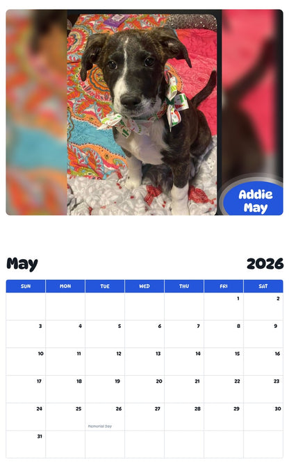 2026 - 2027 Addie May - Pawidols Pet Calendar