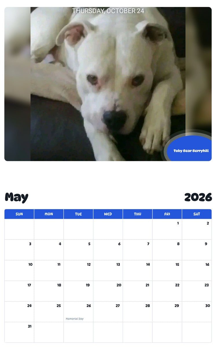 2026 - 2027 Toby Bear Berryhill - Pawidols Pet Calendar