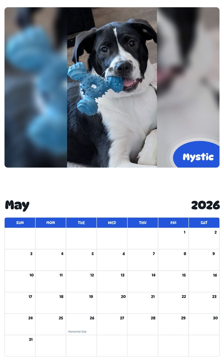 2026 - 2027 Mystic - Pawidols Pet Calendar