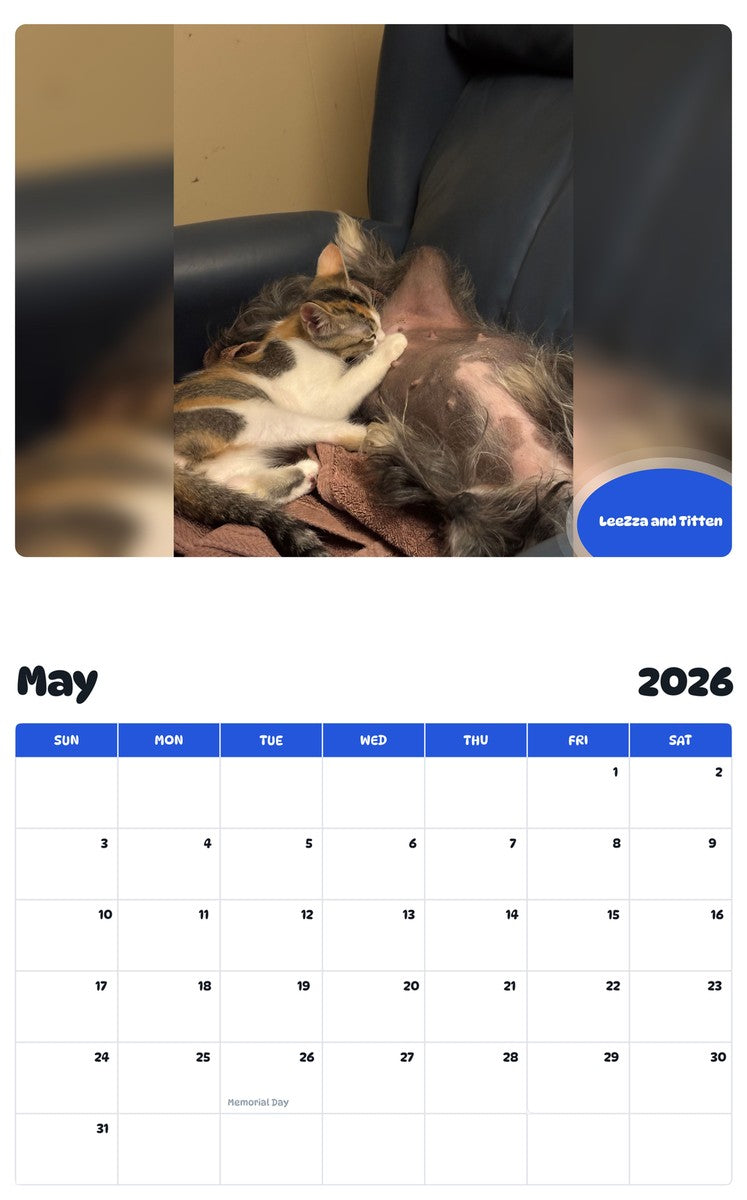 2026 - 2027 LeeZza and Titten - Pawidols Pet Calendar