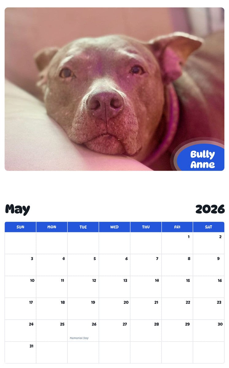 2026 - 2027 Bully Anne - Pawidols Pet Calendar