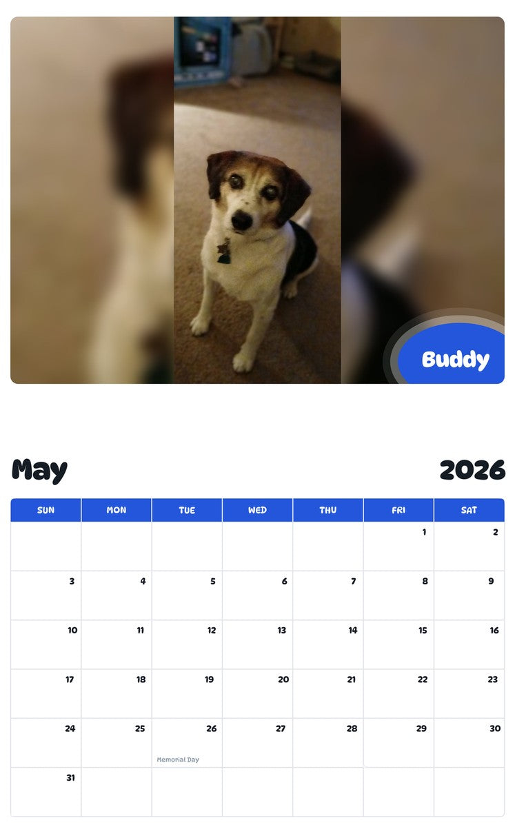 2026 - 2027 Buddy - Pawidols Pet Calendar