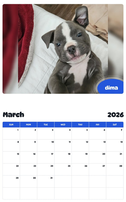 November 2025 - October 2026 dima - Pawidols Pet Calendar