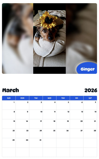 November 2025 - October 2026 Ginger - Pawidols Pet Calendar