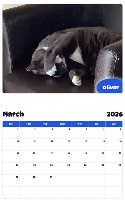 November 2025 - October 2026 Oliver - Pawidols Pet Calendar