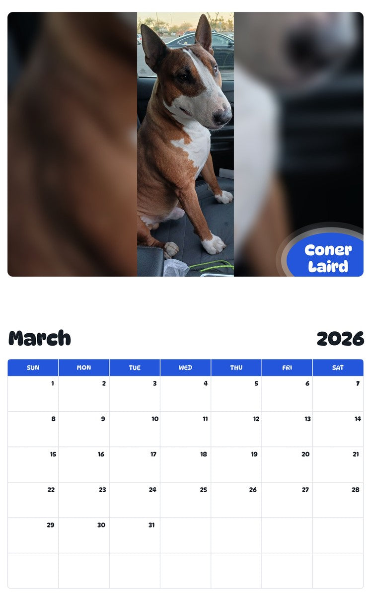 November 2025 - October 2026 Coner Laird - Pawidols Pet Calendar