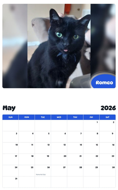 2026 - 2027 Romeo - Pawidols Pet Calendar