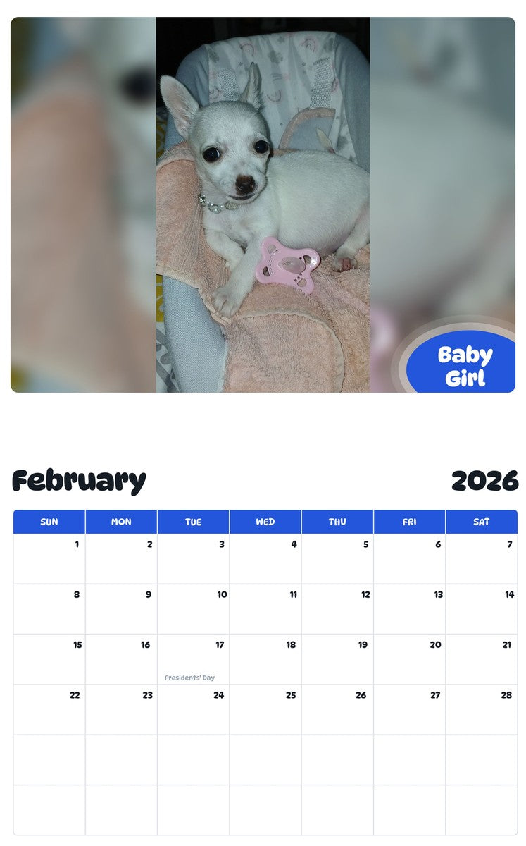 October 2025 - September 2026 Baby Girl - Pawidols Pet Calendar