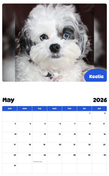 2026 - 2027 Keelie - Pawidols Pet Calendar