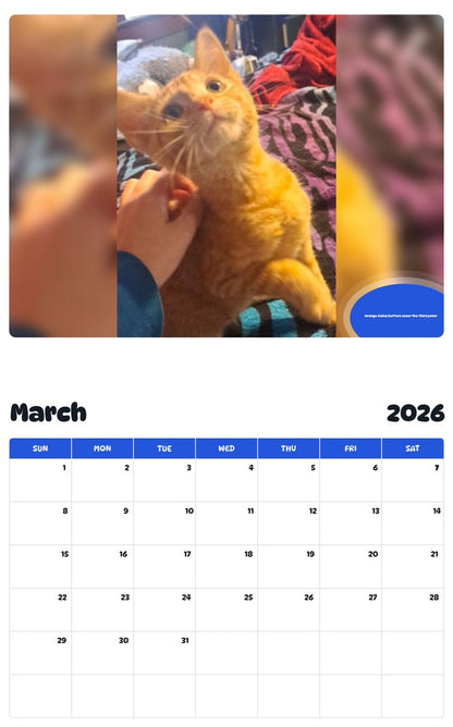 November 2025 - October 2026 Orange Julius butters ceser the third junior - Pawidols Pet Calendar