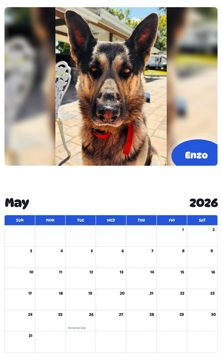 2026 - 2027 Enzo - Pawidols Pet Calendar