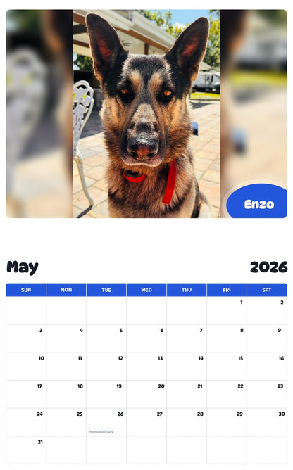 2026 - 2027 Enzo - Pawidols Pet Calendar