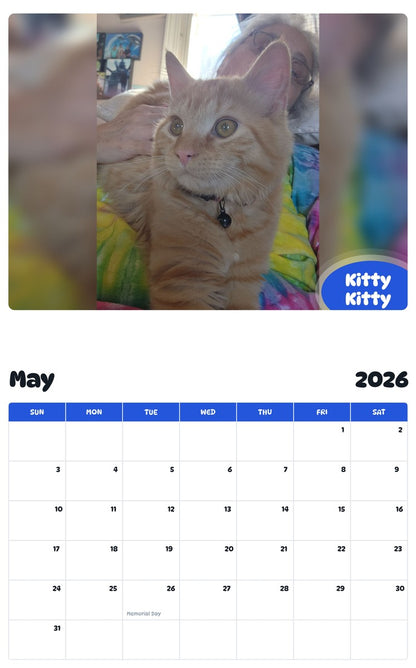 2026 - 2027 Kitty Kitty - Pawidols Pet Calendar