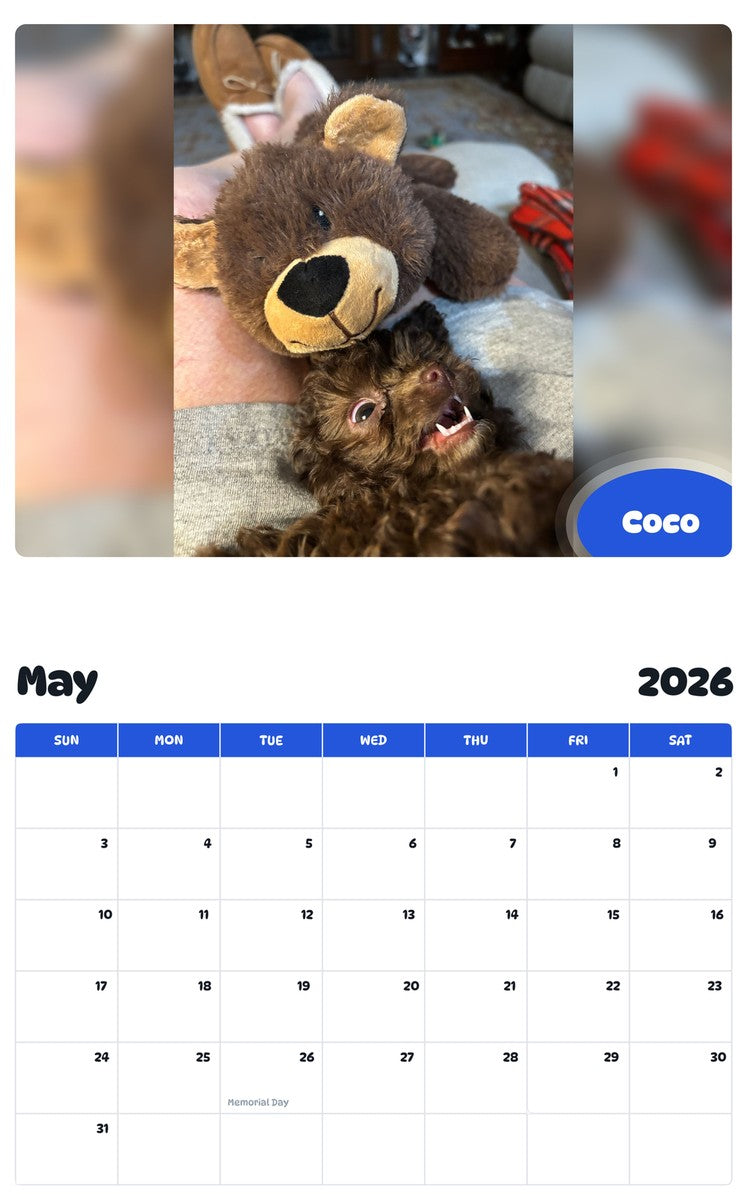 2026 - 2027 Coco - Pawidols Pet Calendar