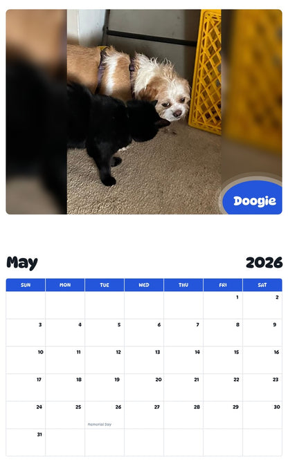 2026 - 2027 Doogie - Pawidols Pet Calendar
