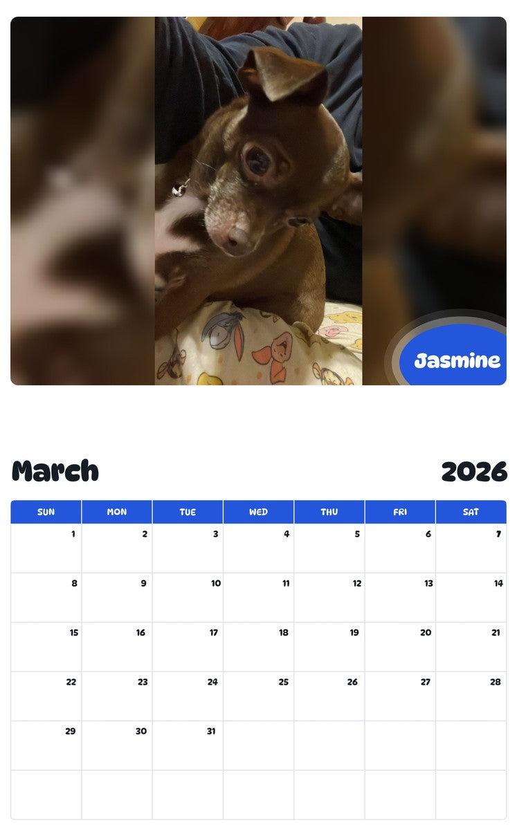 November 2025 - October 2026 Jasmine - Pawidols Pet Calendar