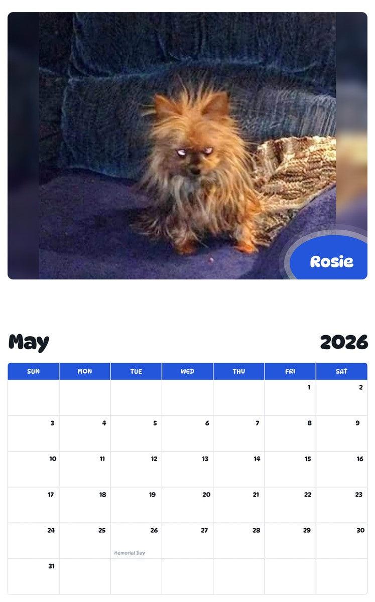 2026 - 2027 Rosie - Pawidols Pet Calendar