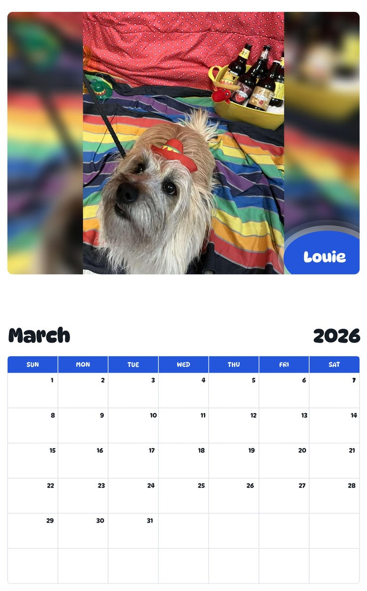 November 2025 - October 2026 Louie - Pawidols Pet Calendar