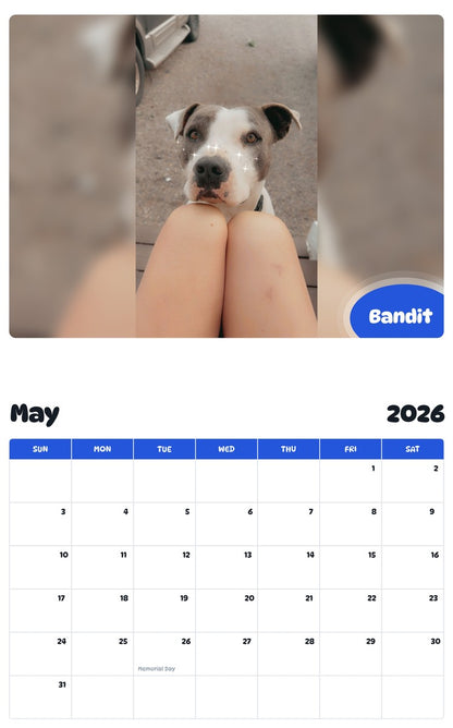 2026 - 2027 Bandit - Pawidols Pet Calendar