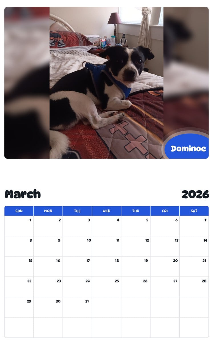 November 2025 - October 2026 Dominoe - Pawidols Pet Calendar