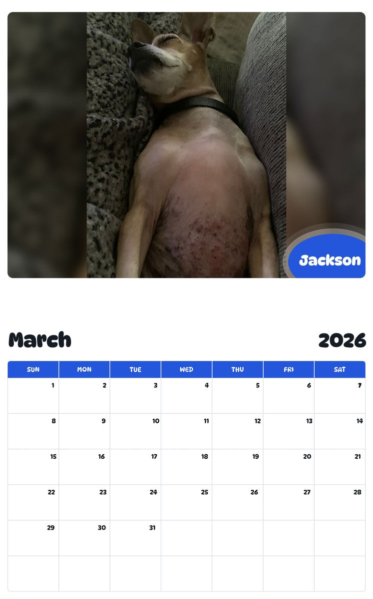 November 2025 - October 2026 Jackson - Pawidols Pet Calendar
