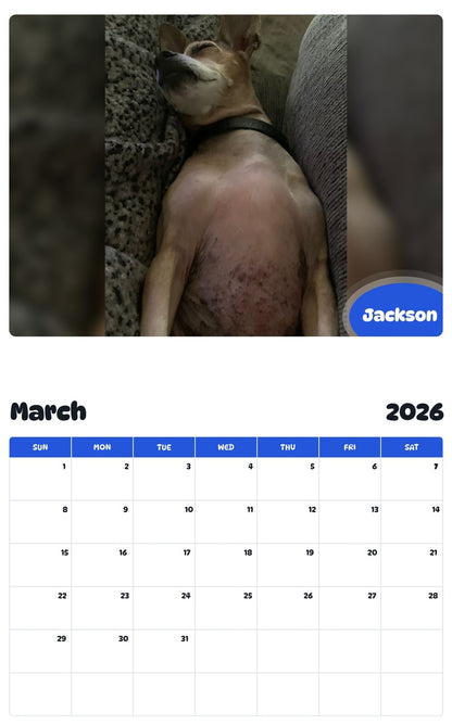 November 2025 - October 2026 Jackson - Pawidols Pet Calendar